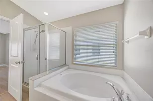 30435 Annadale Dr, Wesley Chapel, FL 33545 - Photo 39