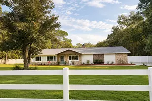 17238 Bridlepath Ct, Lutz, FL 33558 - Photo 1