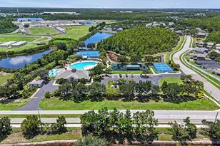 3247 Dunstable Dr, Land O Lakes, FL 34638 - Photo 47