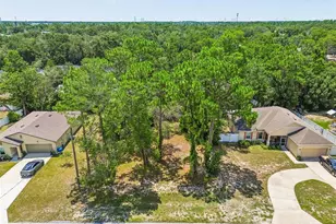 4235 Castle Ave, Spring Hill, FL 34609 - Photo 89