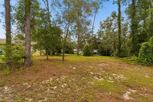 4235 Castle Ave, Spring Hill, FL 34609 - Photo 69