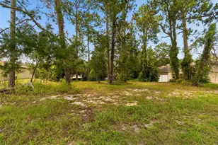 4235 Castle Ave, Spring Hill, FL 34609 - Photo 71