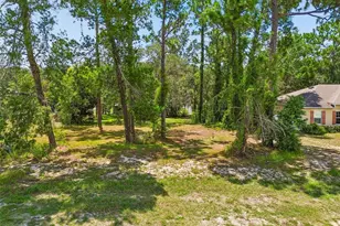4235 Castle Ave, Spring Hill, FL 34609 - Photo 91