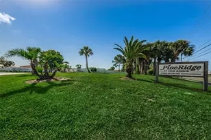 2575 Pine Ridge Way S, Palm Harbor, FL 34684 - Photo 15
