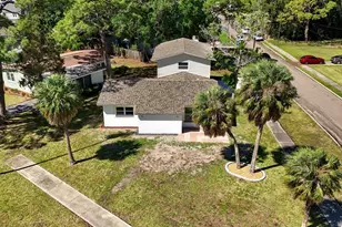 4038 Harrisburg, Saint Petersburg, FL 33703 - Photo 43