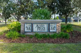 103 Alafia Estates Ln, Plant City, FL 33567 - Photo 1