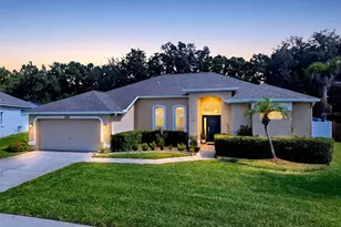 4704 Red Warbler Ln, Valrico, FL 33596 - Photo 1
