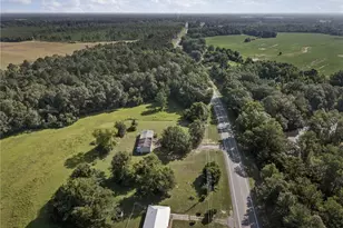 5093 Hwy 273, Campbellton, FL 32426 - Photo 13
