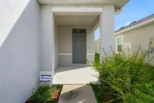 32745 Pez Landing Ln, Wesley Chapel, FL 33543 - Photo 5