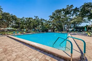3295 Fox Chase Circle N, Palm Harbor, FL 34683 - Photo 55