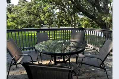 17430 Blackwell Lane, Lutz, FL 33549 - Photo 29