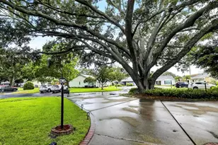 852 Franklin Cir, Palm Harbor, FL 34683 - Photo 25