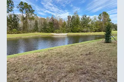 11651 Castine Street, New Port Richey, FL 34654 - Photo 23