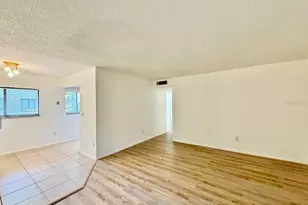 11703 Raintree Village Blvd, Tampa, FL 33617 - Photo 5