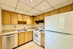 11703 Raintree Village Blvd, Tampa, FL 33617 - Photo 7
