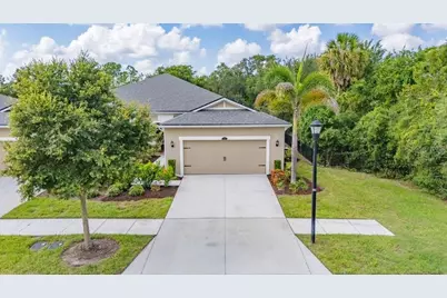 11505 Cambium Crown Drive, Riverview, FL 33569 - Photo 1