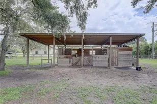 13102 Gibson Ln, Odessa, FL 33556 - Photo 35