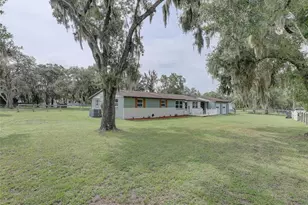 13102 Gibson Ln, Odessa, FL 33556 - Photo 3