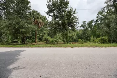 0 Lake Hills Drive, Riverview, FL 33569 - Photo 3