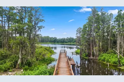 14140 Damselfly Drive, Tampa, FL 33625 - Photo 57