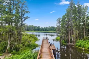 14140 Damselfly Dr, Tampa, FL 33625 - Photo 57