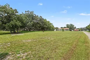 3149 Sydney Dover Rd, Dover, FL 33527 - Photo 1