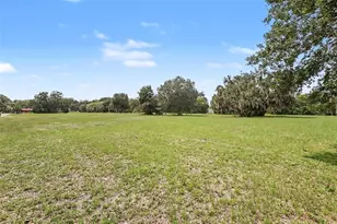 3149 Sydney Dover Rd, Dover, FL 33527 - Photo 5