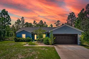 13218 Barnevelde Rd, Weeki Wachee, FL 34614 - Photo 1