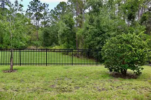 3635 Davenport Creek Ct, Kissimmee, FL 34746 - Photo 11