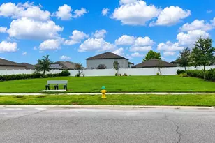 13524 Wild Ginger St, Riverview, FL 33579 - Photo 51