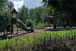 14223 Pondhawk Ln, Tampa, FL 33625 - Photo 47