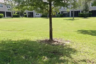 14223 Pondhawk Ln, Tampa, FL 33625 - Photo 41