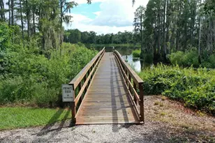 14223 Pondhawk Ln, Tampa, FL 33625 - Photo 49