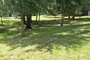 14223 Pondhawk Ln, Tampa, FL 33625 - Photo 37