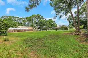 9237 Amazon Dr, New Port Richey, FL 34655 - Photo 23