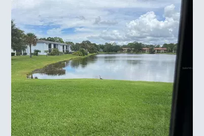 333 Woodlake Wynde, Oldsmar, FL 34677 - Photo 33