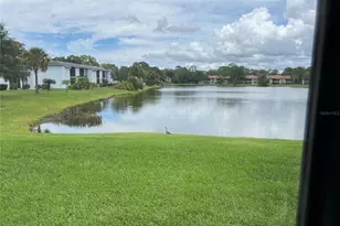 333 Woodlake Wynde, Oldsmar, FL 34677 - Photo 33