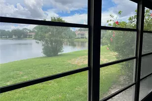 333 Woodlake Wynde, Oldsmar, FL 34677 - Photo 37
