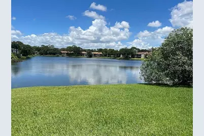 333 Woodlake Wynde, Oldsmar, FL 34677 - Photo 31
