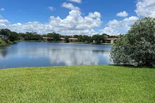 333 Woodlake Wynde, Oldsmar, FL 34677 - Photo 31