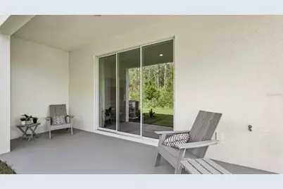 17334 Spanish Oak Loop, Land O Lakes, FL 34638 - Photo 31