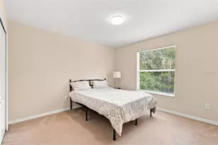 10637 Liberty Bell Dr, Tampa, FL 33647 - Photo 37
