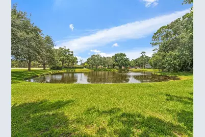 3350 Dunemoor Ct, Palm Harbor, FL 34685 - Photo 35