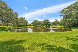 3350 Dunemoor Ct, Palm Harbor, FL 34685 - Photo 35