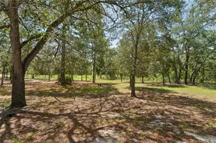 12408 Kanawha Dr, Weeki Wachee, FL 34614 - Photo 71