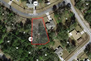 11052 N Iron Dr, Citrus Springs, FL 34434 - Photo 1