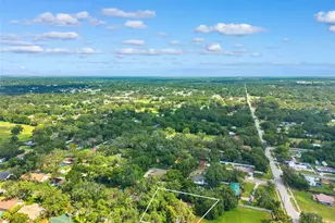 2770 Buckhorn Oaks Dr, Valrico, FL 33594 - Photo 53
