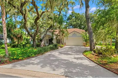 2770 Buckhorn Oaks Drive, Valrico, FL 33594 - Photo 1
