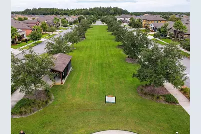 32804 Brooks Hawk Ln, Wesley Chapel, FL 33543 - Photo 43