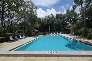 4045 Bluff Oak Ct, Palm Harbor, FL 34684 - Photo 25